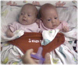cutie pies