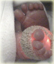 feet
